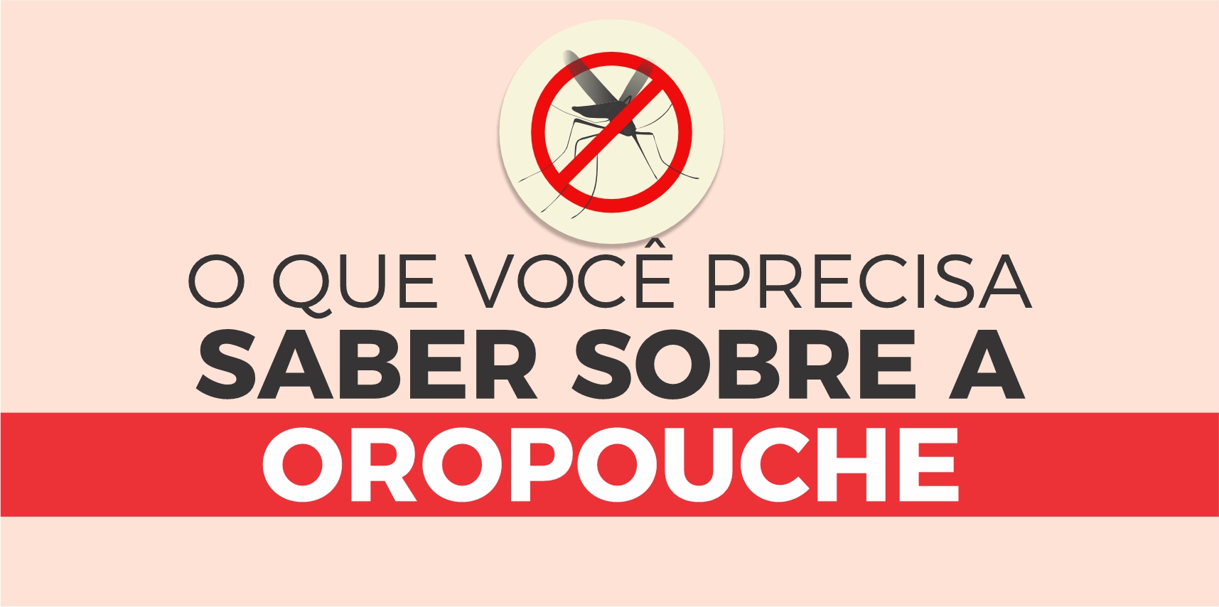 Febre Oropouche: o que você precisa saber sobre essa doença